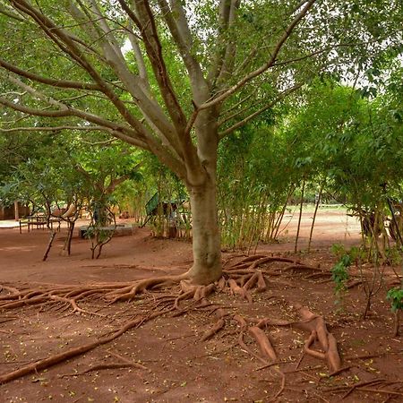 Our Native Village Gādigarpālya Bagian luar foto