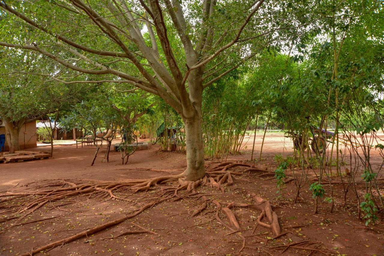 Our Native Village Gādigarpālya Bagian luar foto