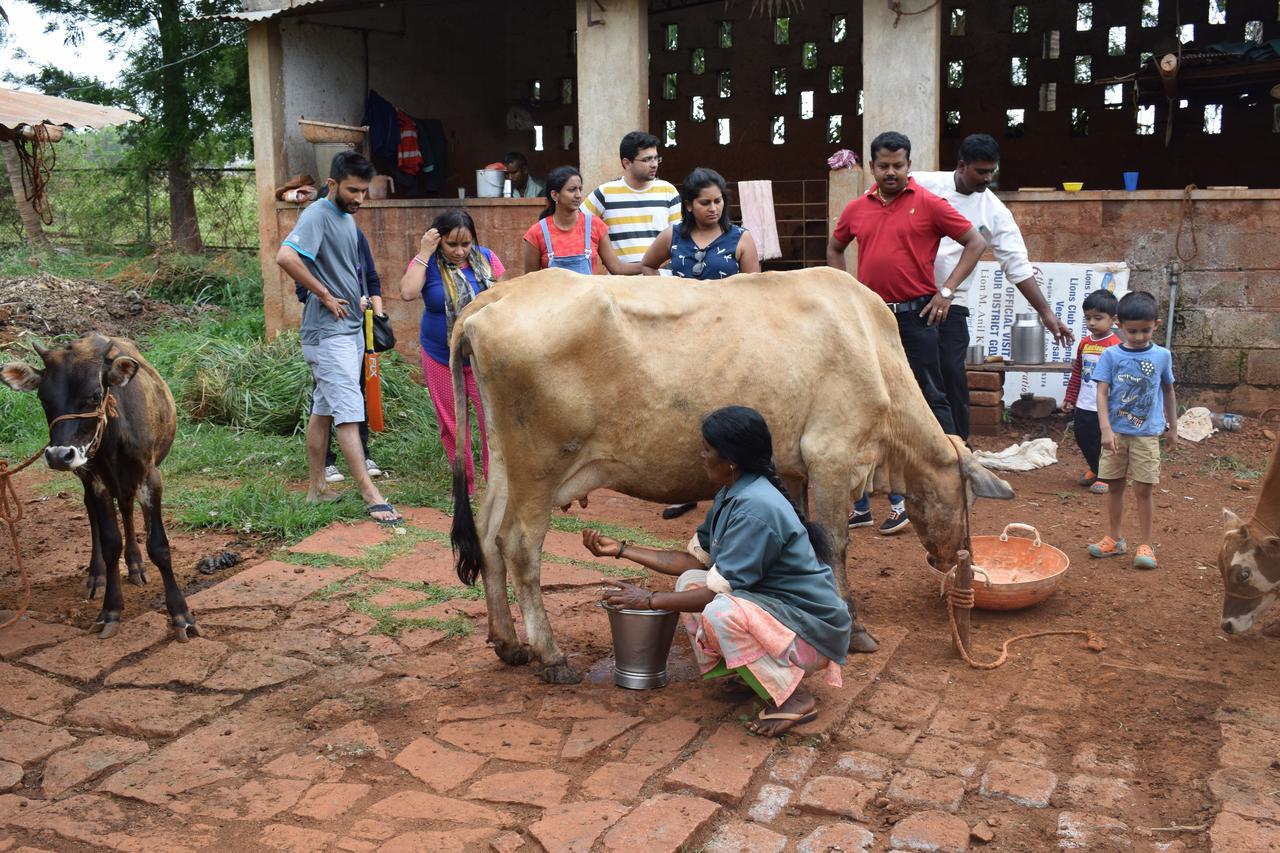 Our Native Village Gādigarpālya Bagian luar foto